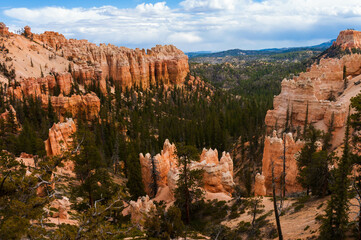 pine trees and hoodoos  from Fairyland Point at Bryce Canyon National Park, Utah, USA