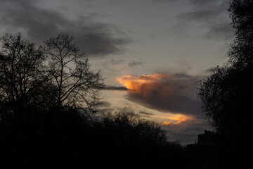 fire in the sky sunset red light and trees