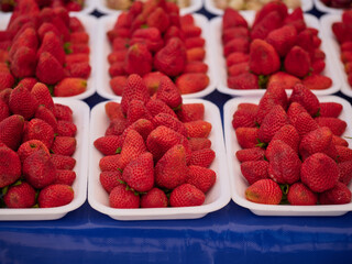 fresh strawberries in the market