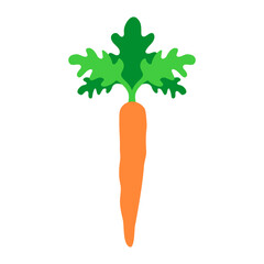 carrot isolated vegetable - flat design vector symbol