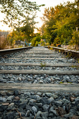 railroad in autumn