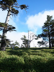 青空と晴天の高原