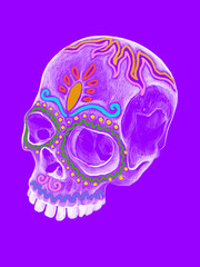 Obraz premium Calaverita de azúcar , calavera mexicana , Día de muertos, cráneo, tradiciones mexicanas 