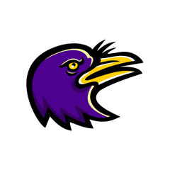 Fototapeta premium American Crow Head Mascot