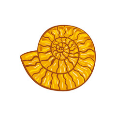 Ammonite Retro