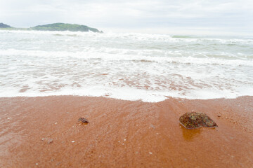 Wave covering the sea