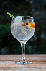 photograph of a gin and tonic, a very popular alcoholic drink.