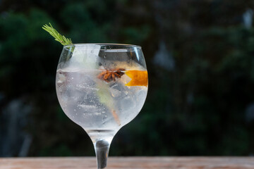 photograph of a gin and tonic, a very popular alcoholic drink.