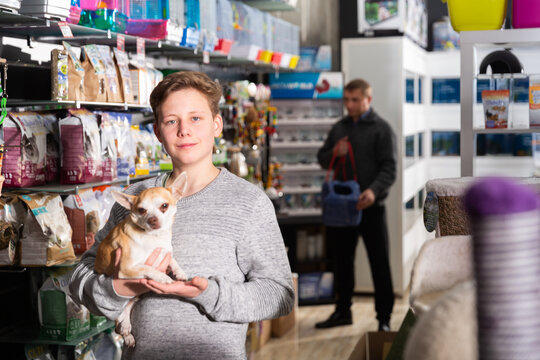 Portrait of a boy with dog in petshop, man on background. High quality photo