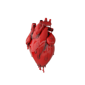 Realistic human heart organ with arteries and aorta 3d rendering. Happy Valentines Day greeting card. Romantic background. Red hearts isolated on white