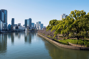 大川の風景