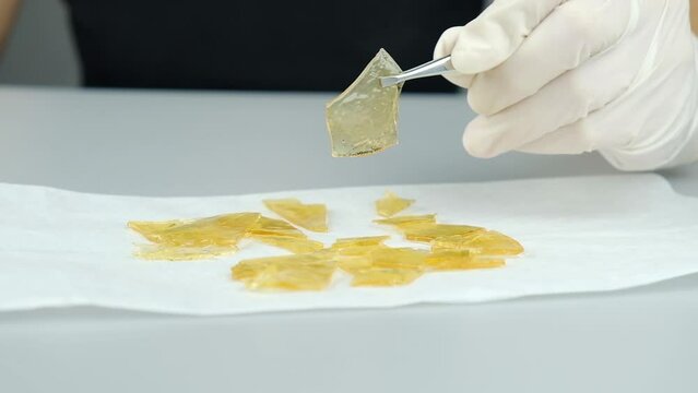 medical dispensary marijuana sell cannabis golden wax. High quality FullHD footage