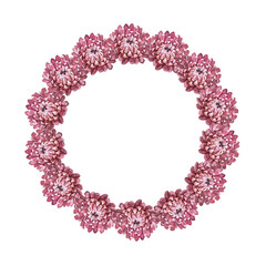 Watercolor boho wreath isolated on white background. Circle frame border template for design. Dry flower pink chrysanthemum for wedding. Hand-drawn summer autumn plant. Clipart with copy space