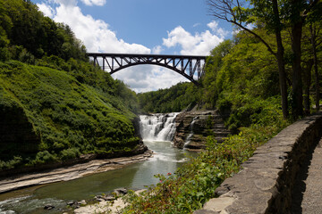bridge over the river