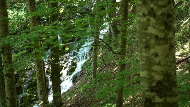 A river falling down from a mountain in the Paklenica national park in Zadar