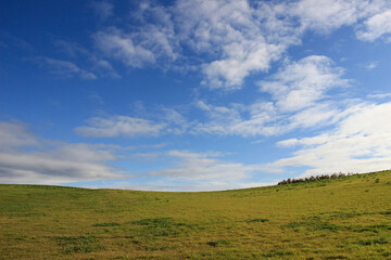 秋の緑の草原と青空
