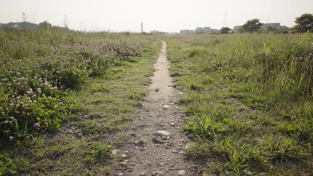 Step forward on a path in the spring wasteland
