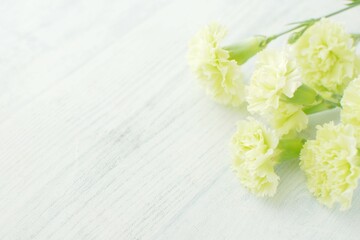 赤いガーベラの花