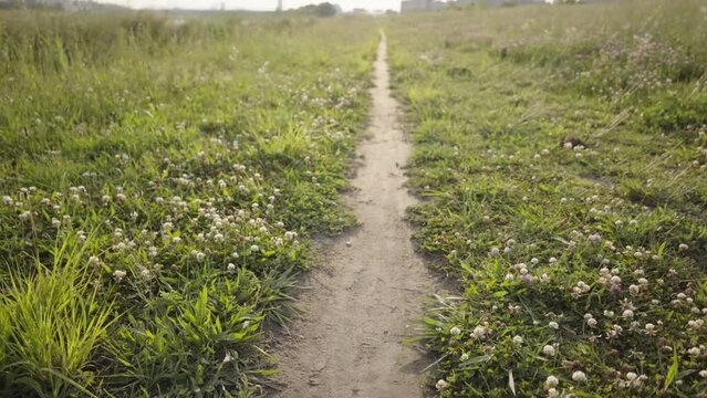 Going forward on a path in the spring field
