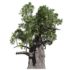 Fantasy tree 3d illustration isolated on white background