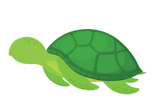 Cartoon Faceless Turtle Icon Clipart Vector for Sea Animal Collection Animated Image
