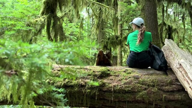 MacMillan Provincial Park Seven Wonders of Canada Vancouver island ancient Douglas fir Cathedral Grove old growth Douglas fir forest British Columbia cathedral grove huge thousand year old trees moss