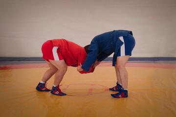 two men in blue and red tights are wrestling on a yellow tatami. Sambo wrestlers train. Sambo...