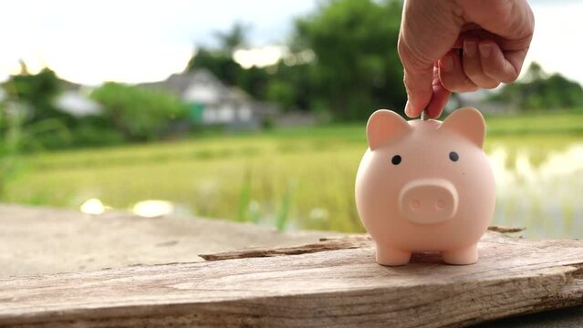Saving money by hand puting coins in jug glass on nature background