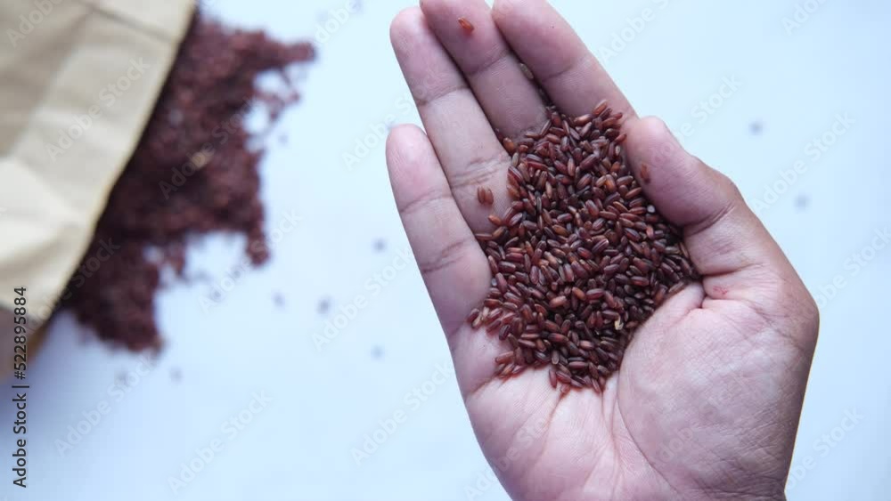 Wall mural red rice on hand aradighi rice , top view 