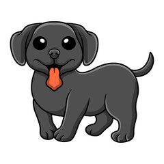 Cute black labrador dog cartoon