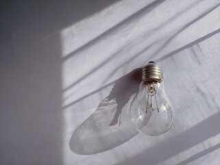 Flat lay photo of light bulbs isolated over white background