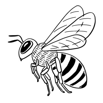 black and white bee flying clip art preview