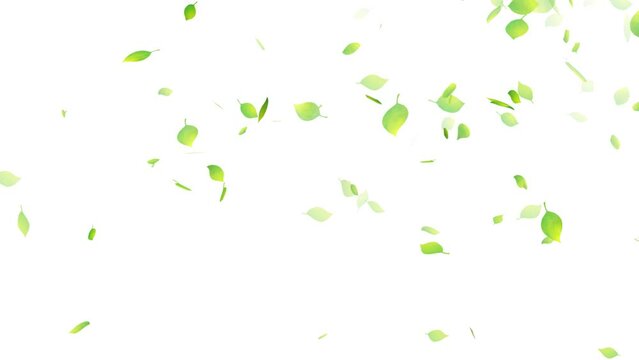 水彩タッチ 緑の葉っぱ舞う　右上から（背景白）