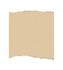 Torn paper background. Ripped paper sheet. Note paper.