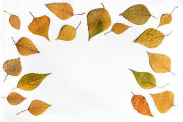 Frame of dried autumn yellow leaves on a white background
