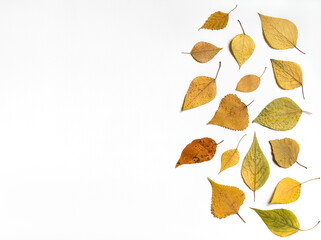 Dired autumn leaves flat lay composition on a white background. Copy space