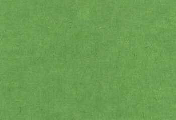 blank green japanese traditional paper "washi" texture