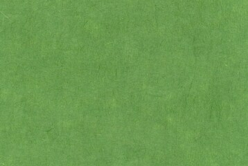blank green japanese traditional paper 