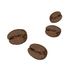 Roasted coffee beans.