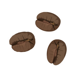 Fototapeta premium Roasted coffee beans.