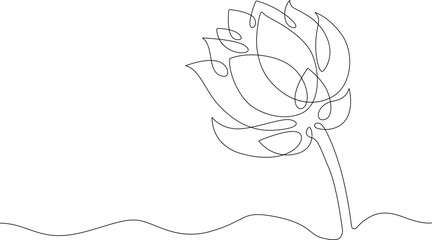 One continuous line.Flower bud. A beautiful open flower. One continuous line is drawn on a white background.