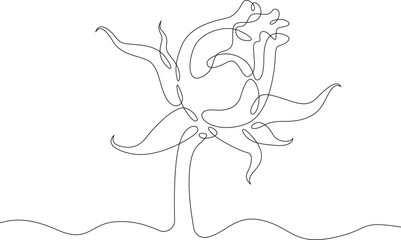 One continuous line.Flower bud. A beautiful open flower. One continuous line is drawn on a white background.