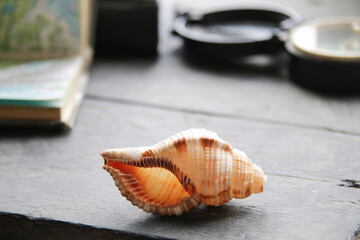 seashell, map and compass lies on a vintage table
