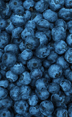 Vegan mock-up background. Fresh blueberry flat lay. Blueberries ready to eat snack concept.