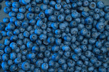 Ripe sweet blueberry. Fresh blueberries background with copy space for your text. Vegan and vegetarian concept. The macro texture of blueberry berries. Texture blueberry berries close up