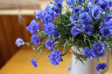 Bouquet of wild blue cornflowers in a vase by the window, blurred floral background