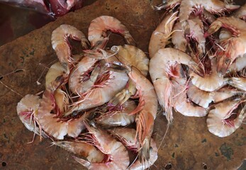 Prawns are kept for sale on the market.(selectively focusing)