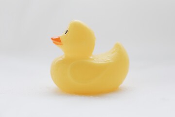 yellow duck