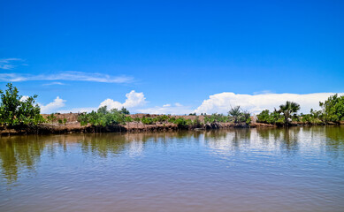 Fototapeta premium damage to the mangrove ecosystem
