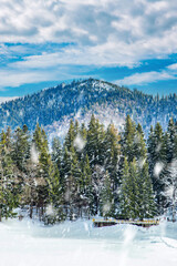 snowfall on the background of coniferous forest on a cold winter day in the mountains. winter landscape